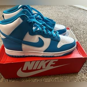 Nike dunk hi retro
